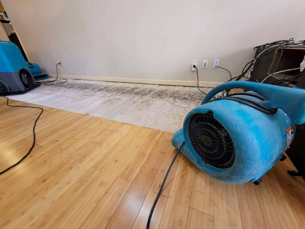 Professional Water Damage Repair technician working in Sheridan, IN